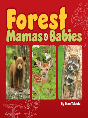 cover image of Forest Mamas & Babies